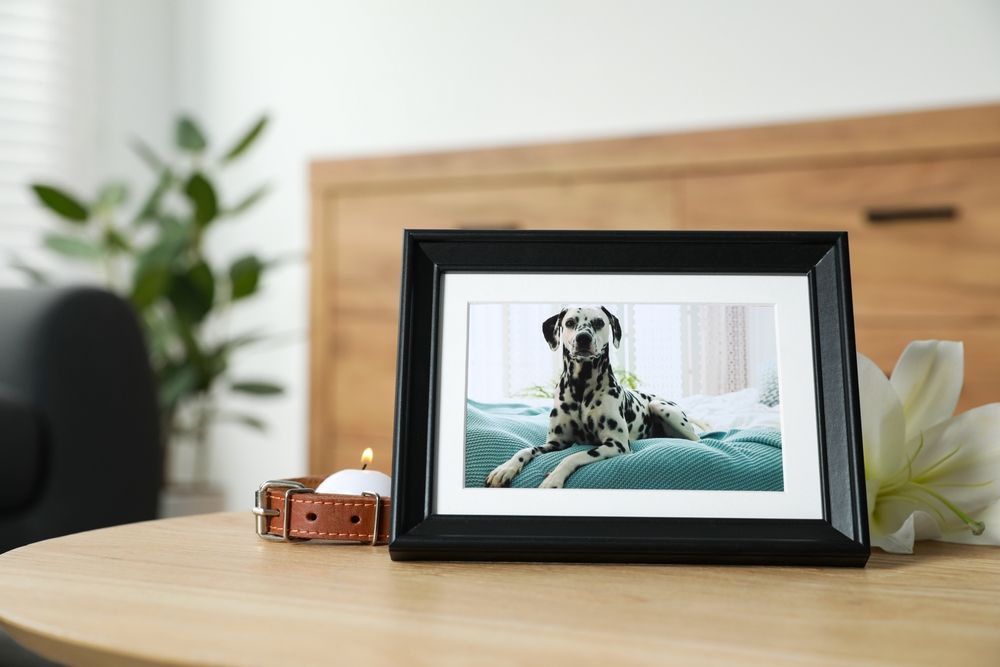 Honoring Your Pet's Memory: Creative Memorial Ideas