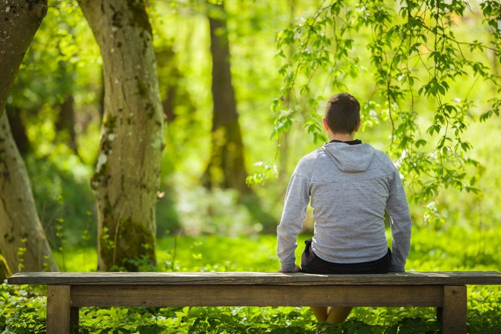 The Healing Power of Spring: Finding Renewal After Pet Loss