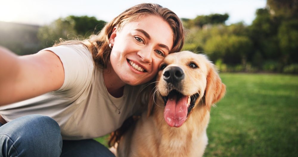 Honorer la mémoire de votre animal : comment garder son esprit vivant au quotidien