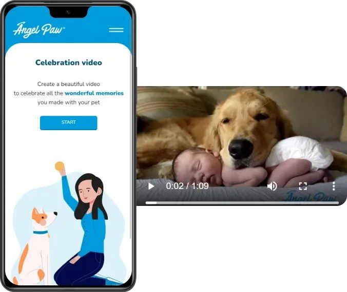 Création d’une vidéo de célébration dans l’application AngelPaw