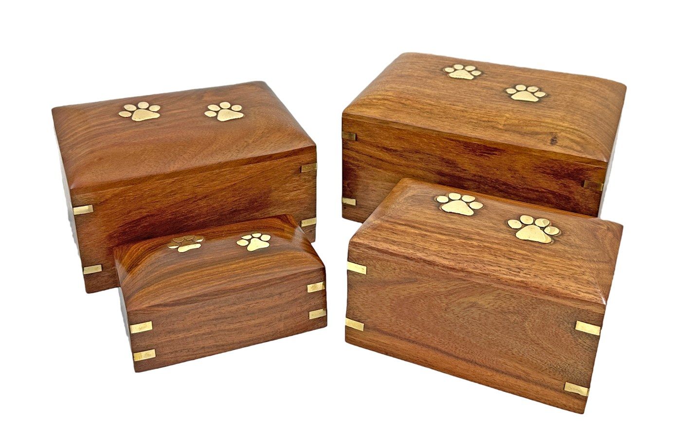 Empreinte de patte sur urne en bois