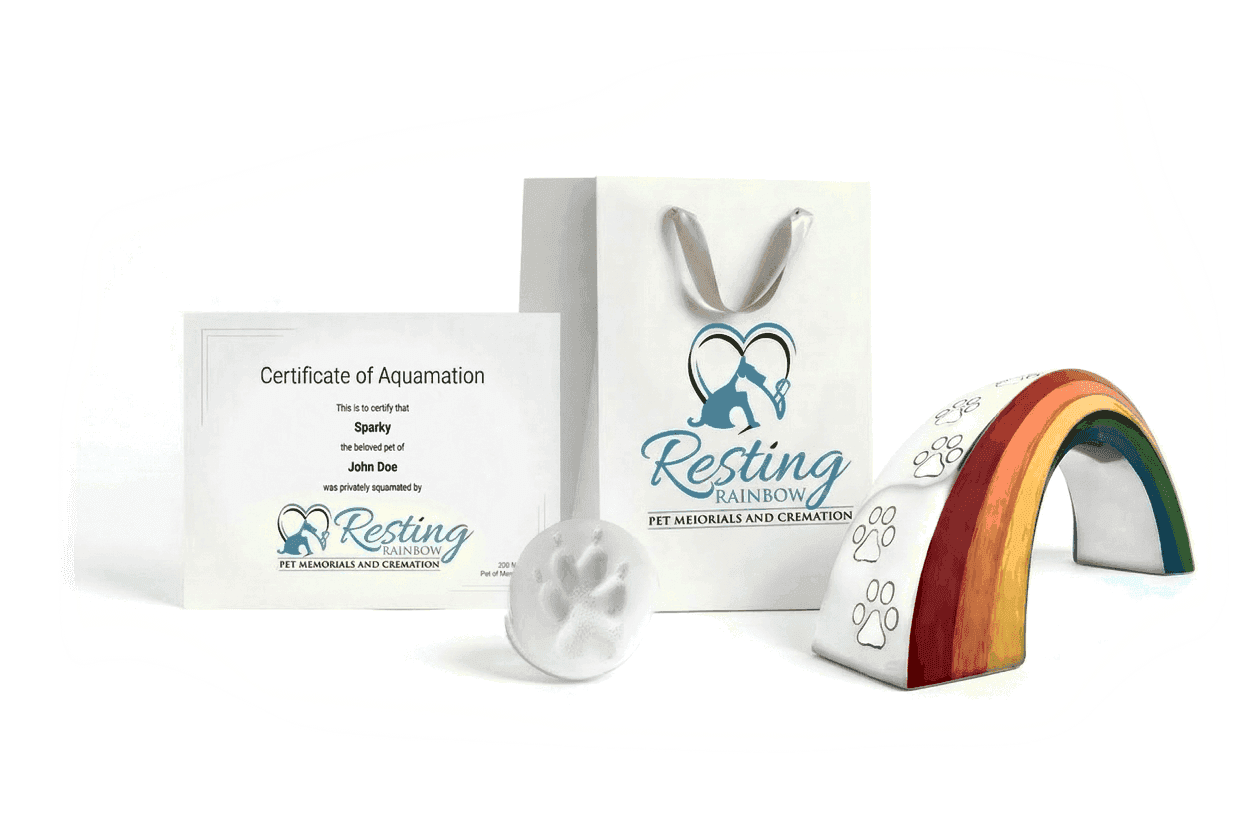 Resting Rainbow Package