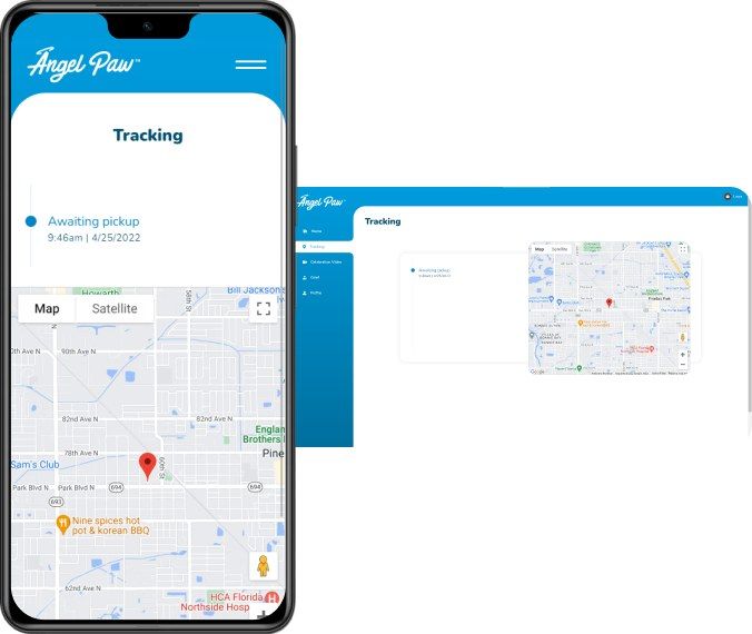 Suivi en temps réel sur une carte dans l’application AngelPaw